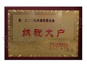 2009年納稅大戶